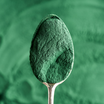 Co je VitaEmote Imunita se spirulínou a proč by ji měl znát každý, kdo chce odolného a vitálního koně