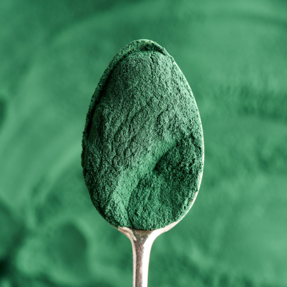Co je VitaEmote Imunita se spirulínou a proč by ji měl znát každý, kdo chce odolného a vitálního koně